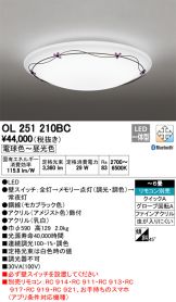 OL251210BC