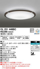 OL251446BC