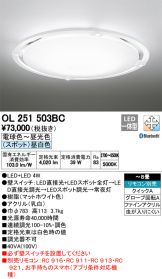 OL251503BC