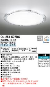 OL251507BC