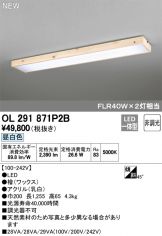 OL291871P2B