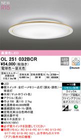 OL251032BCR