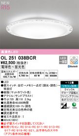 OL251038BCR