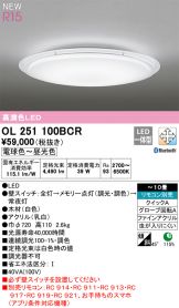 OL251100BCR