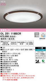OL251119BCR