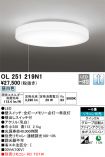 OL251219N1