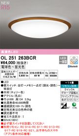 OL251263BCR