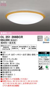 OL251266BCR