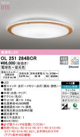 OL251284BCR