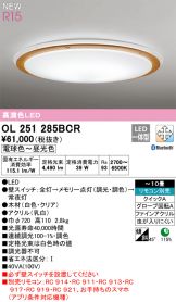 OL251285BCR