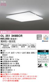 OL251349BCR