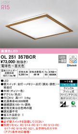 OL251357BCR