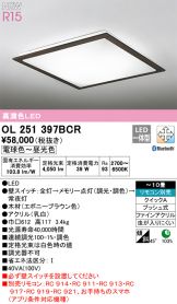OL251397BCR