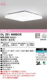 OL251400BCR