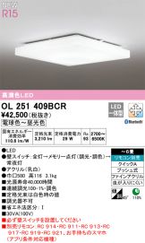 OL251409BCR