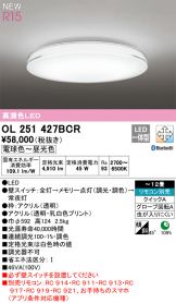 OL251427BCR