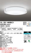 OL251460BC1