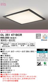 OL251471BCR