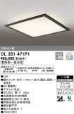OL251471P1