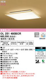 OL251480BCR