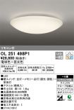 OL251498P1