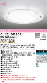 OL251502BCR
