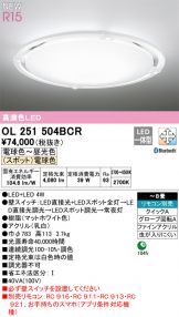 OL251504BCR