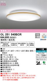 OL251540BCR