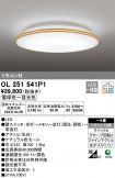 OL251541P1