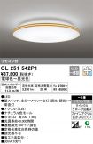OL251542P1