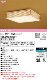 OL251555BCR