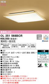 OL251568BCR