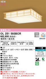 OL251593BCR