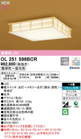 OL251596BCR