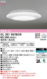 OL251597BCR