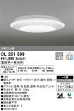 OL251599
