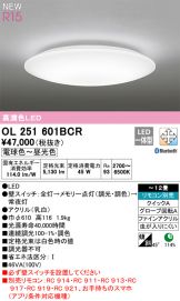 OL251601BCR