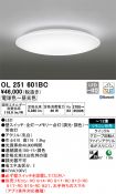 OL251601BC