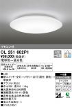 OL251602P1