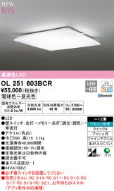 OL251603BCR