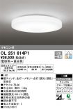 OL251614P1