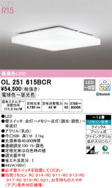OL251615BCR