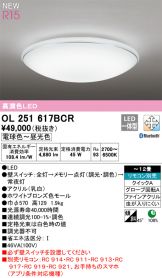 OL251617BCR