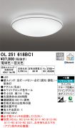 OL251618BC1