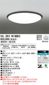 OL251619BC