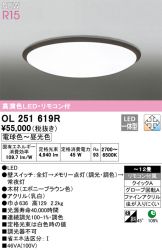 OL251619R