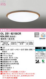 OL251621BCR