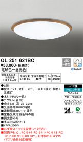 OL251621BC