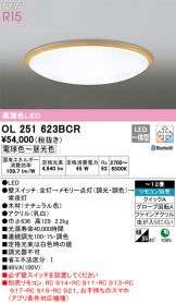 OL251623BCR