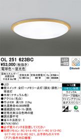 OL251623BC